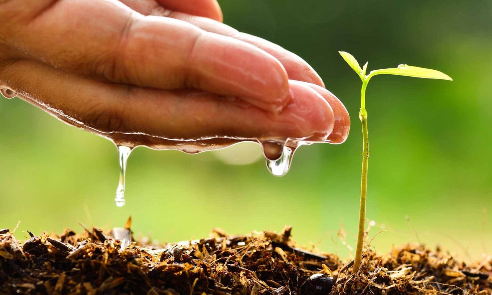 Imagen del artículo: Actúa a favor del medio ambiente