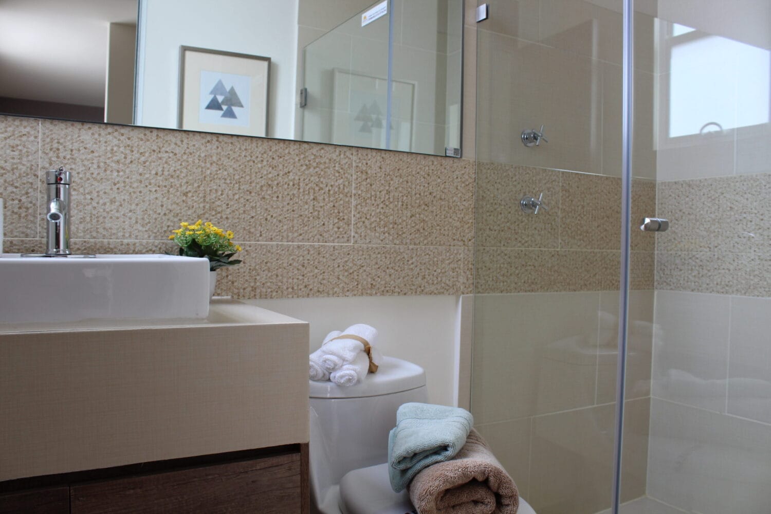 Imagen del artículo: Diseños de baños en los hogares.