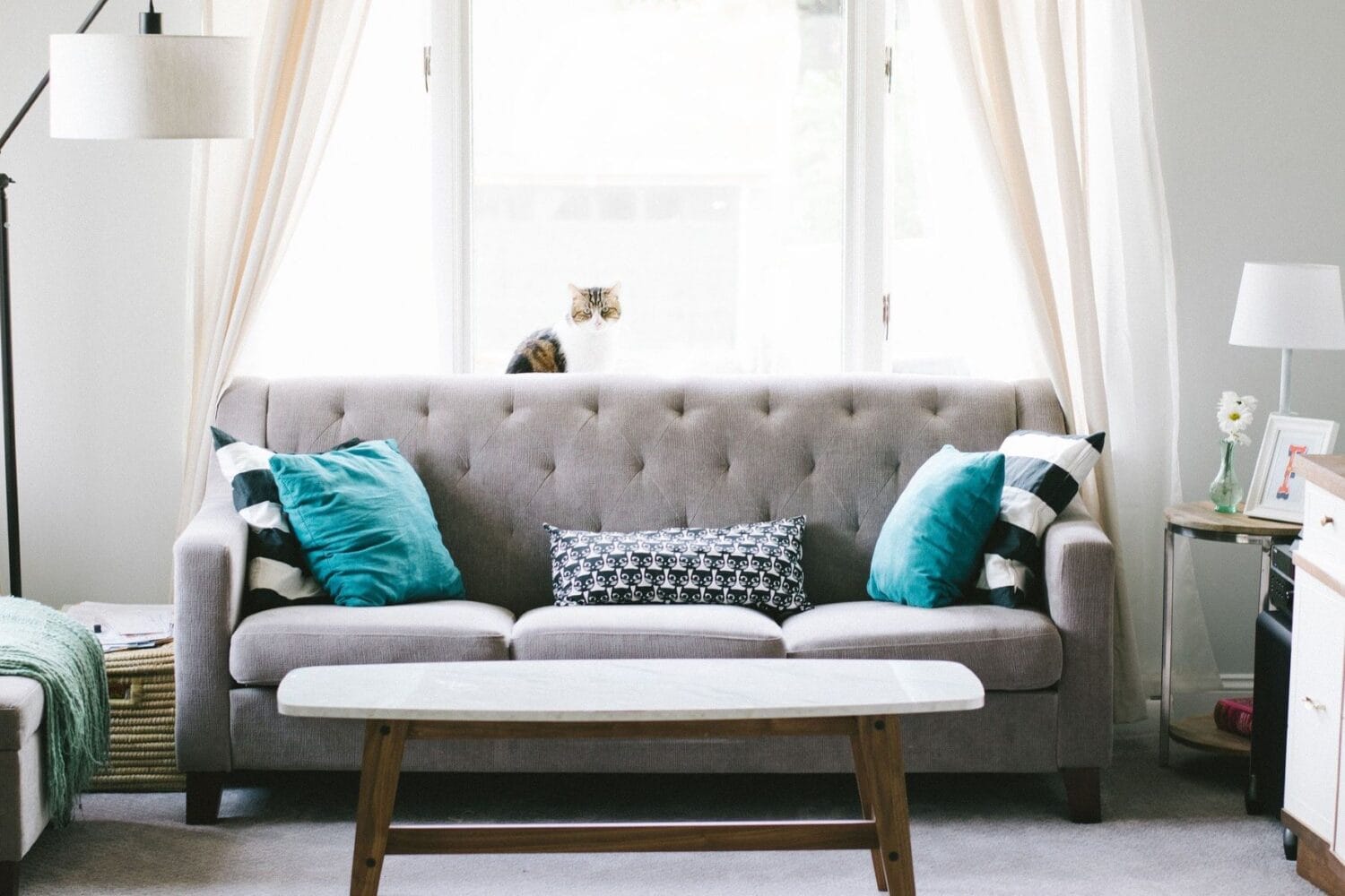 Imagen del artículo: Tips para encontrar tu casa ideal