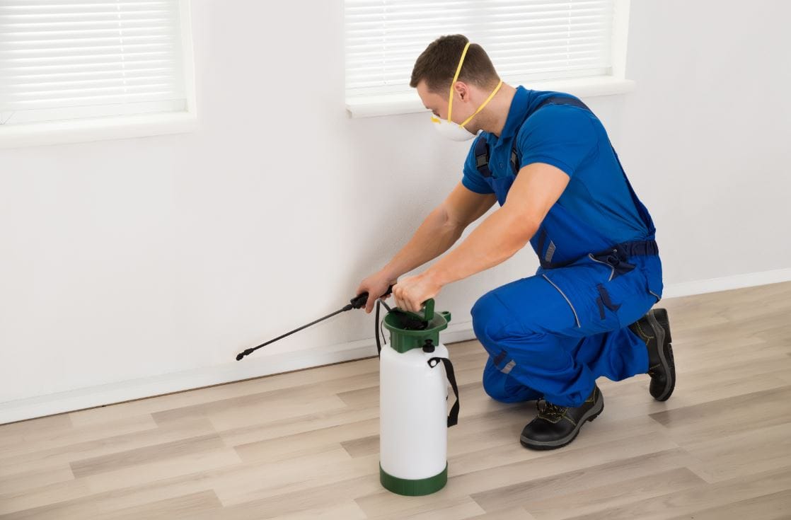 Imagen del artículo: Que debes saber antes de fumigar tu hogar
