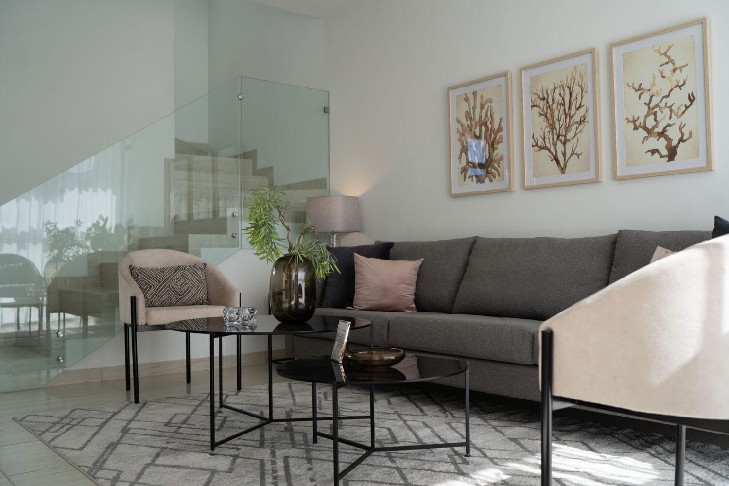 Modelo GUINEA, casa de 3 recámaras en Reserva San Matías — foto 2