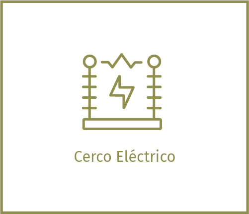 CercoEléctrico-Granna-DesarrolloInmobiliario-GrupoSoldi