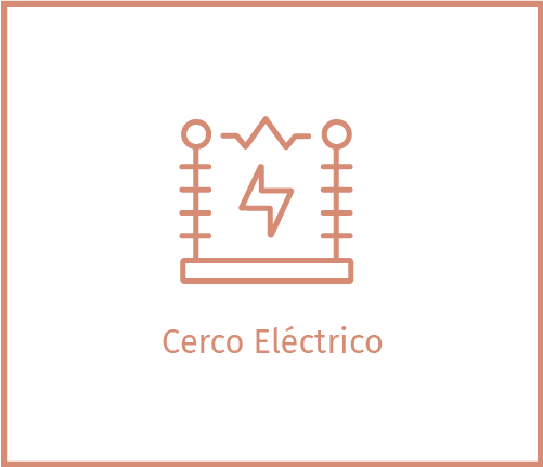 CercoEléctrico-ReservaSanMatías-DesarrolloInmobiliario-GrupoSoldi