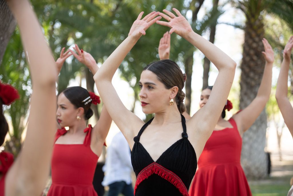 festival organizado en apoyo a BIFAM Aguascalientes